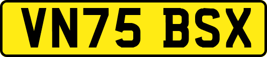 VN75BSX