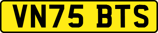 VN75BTS