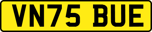 VN75BUE