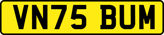 VN75BUM