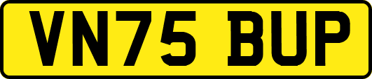 VN75BUP