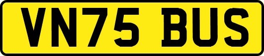 VN75BUS