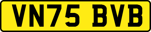 VN75BVB
