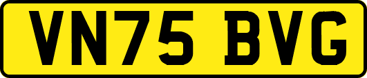 VN75BVG