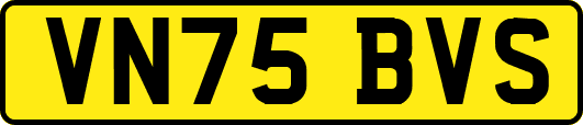 VN75BVS