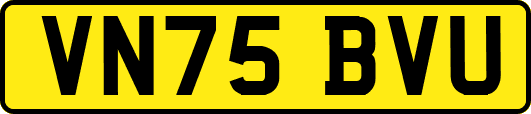 VN75BVU
