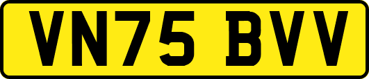 VN75BVV