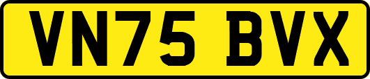 VN75BVX