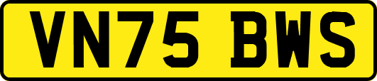 VN75BWS