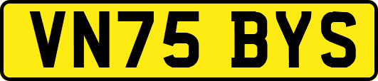 VN75BYS