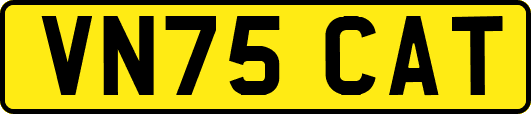 VN75CAT