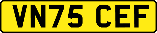 VN75CEF