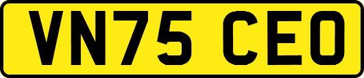 VN75CEO