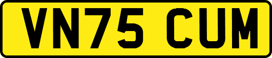 VN75CUM