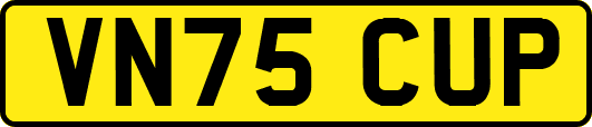 VN75CUP