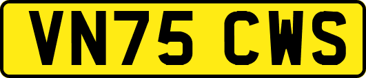 VN75CWS
