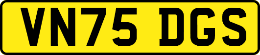 VN75DGS