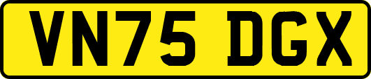 VN75DGX