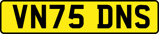 VN75DNS