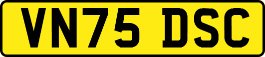 VN75DSC