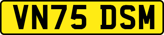 VN75DSM