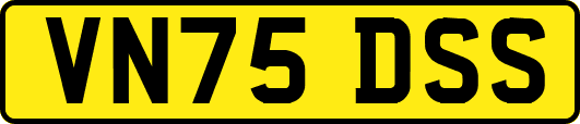 VN75DSS