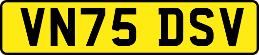 VN75DSV
