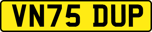 VN75DUP