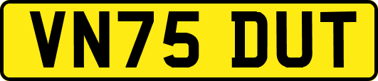 VN75DUT
