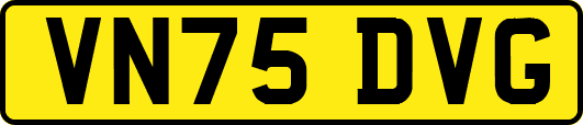 VN75DVG