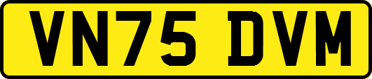 VN75DVM