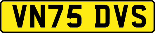 VN75DVS