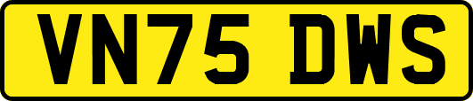 VN75DWS