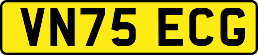 VN75ECG