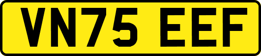 VN75EEF