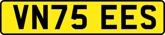 VN75EES