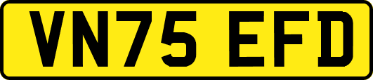 VN75EFD