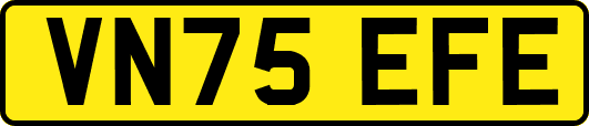VN75EFE