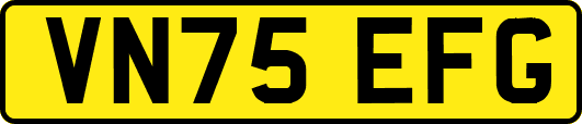 VN75EFG