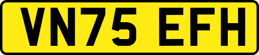 VN75EFH
