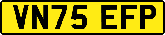 VN75EFP