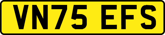 VN75EFS