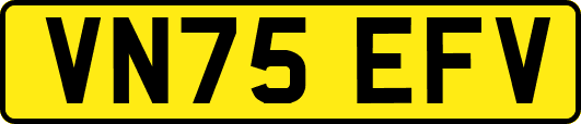 VN75EFV