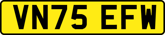 VN75EFW