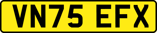 VN75EFX