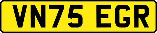 VN75EGR
