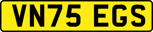 VN75EGS