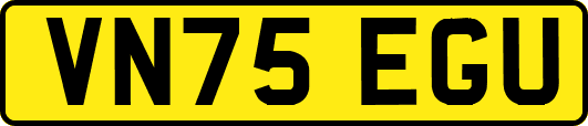 VN75EGU