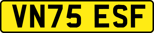 VN75ESF