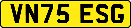 VN75ESG